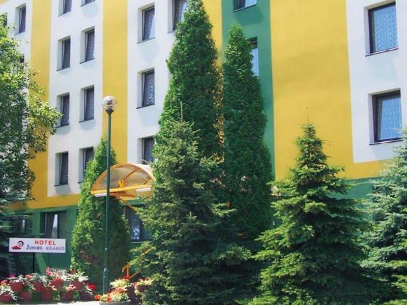 Rok Krakov